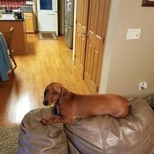 Meet your Posher, Abbey